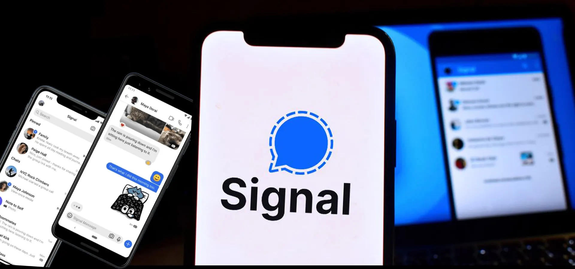 Signal 中文版