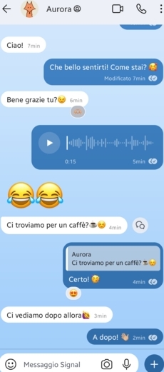 Signal 群组链接设置及管理技巧：保护大型社区隐私